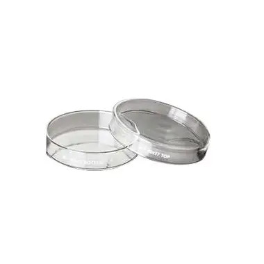 Dishes