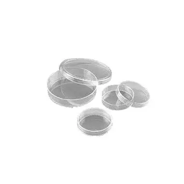 Cell Culture Products
