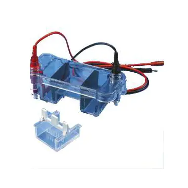 Electrophoresis